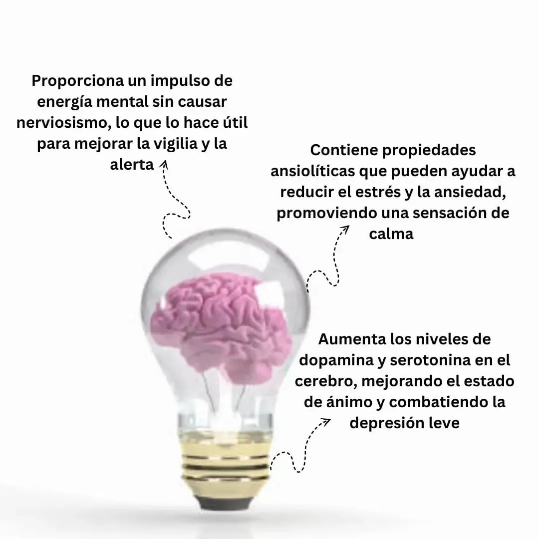 Aniracetam 500mg - 2 presentaciones
