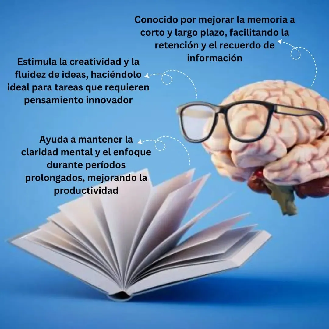 Aniracetam 500mg - 2 presentaciones